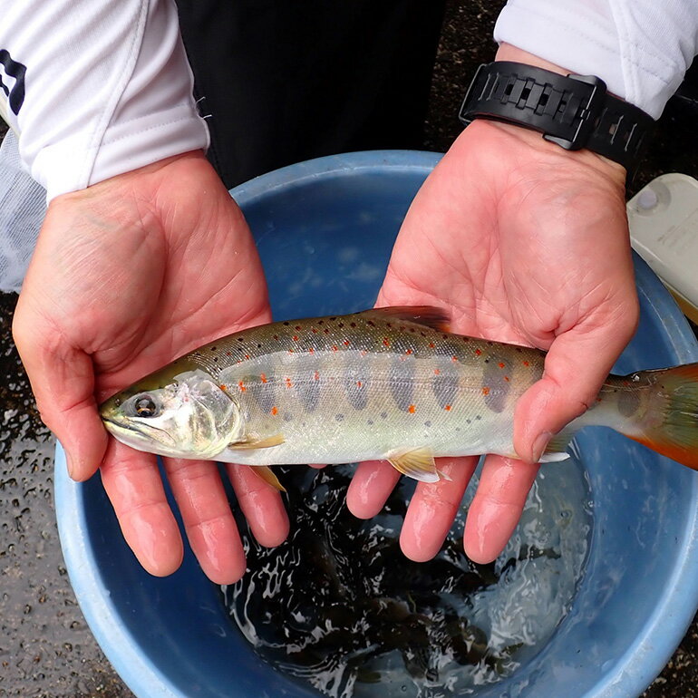 三重県大台町の画像3