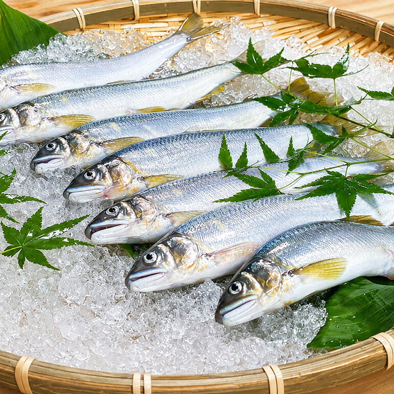 【ふるさと納税】（冷蔵）　鮎　約1kg／大森水産　あゆ　お取り寄せグルメ　川魚　和食　三重県　大台町