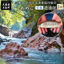 【ふるさと納税】三重県 宮川上流漁業協同組合 あめご 年券 遊漁証 / 釣り 川釣り アウトドア 三重県 大台町