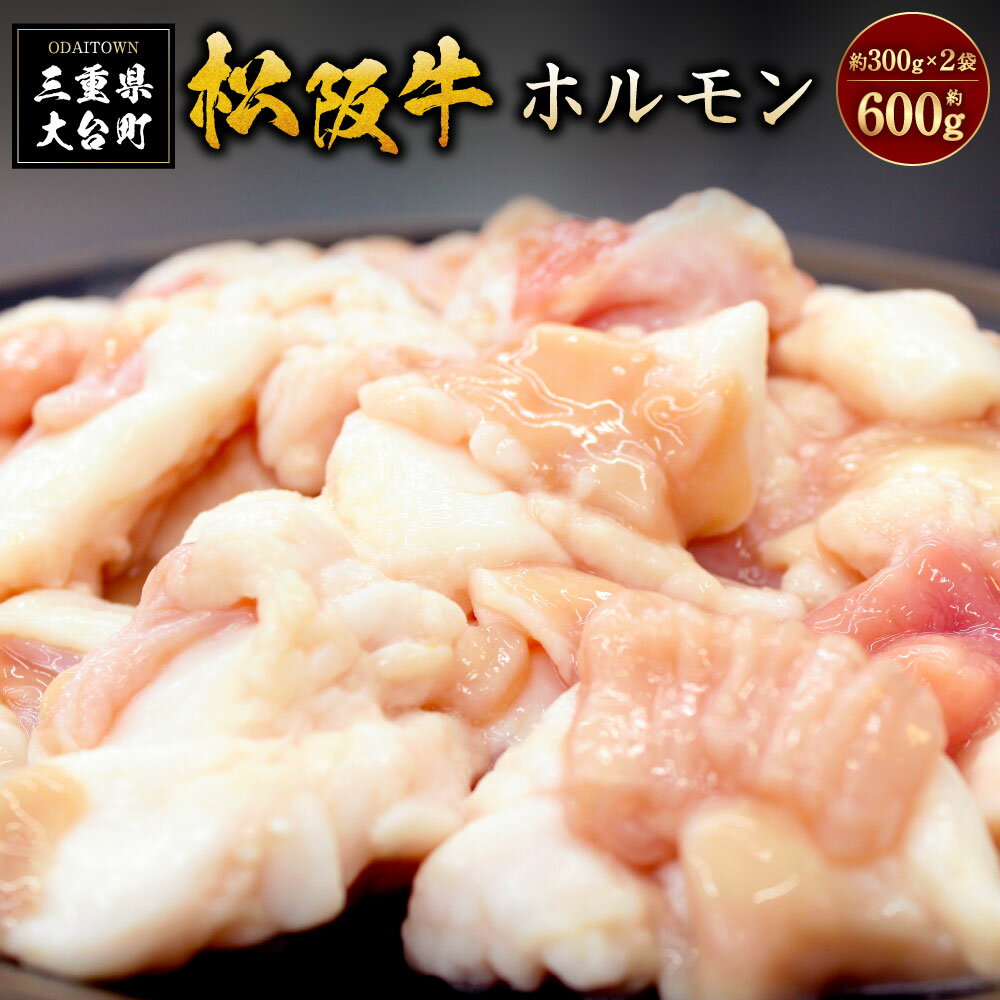 【ふるさと納税】SS01　松阪牛ホルモン　300g×2P／（冷凍）瀬古食品　JGAP認定　松阪肉　名産　お取り寄せグルメ　三重県　大台町