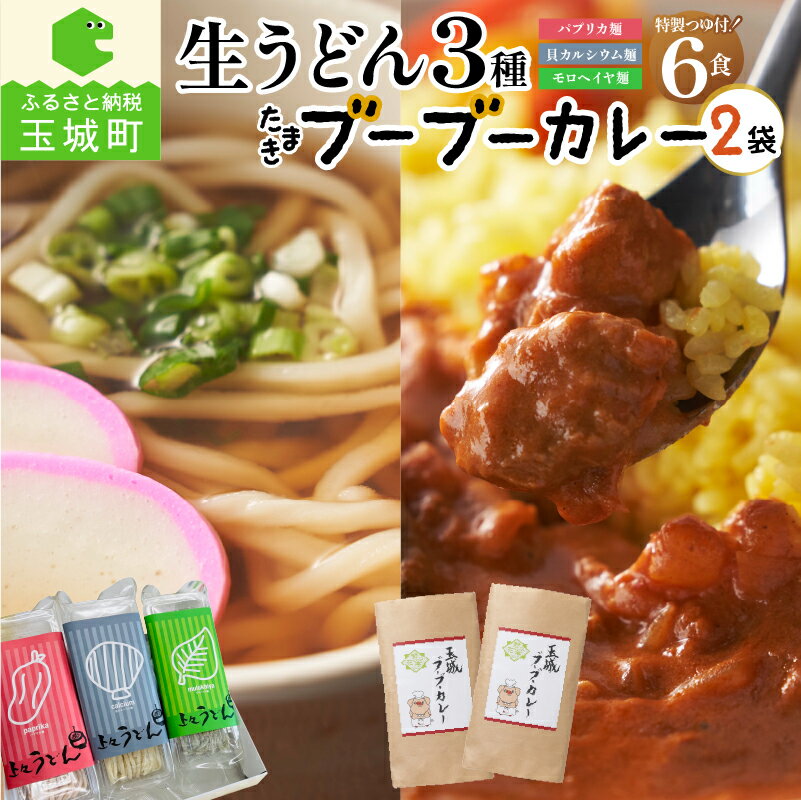 【ふるさと納税】ギフト カレー うどん 贈答用 プレゼント 