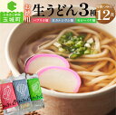 【ふるさと納税】お徳用 うどん 生うどん カルシウム モロヘイヤ パプリカ 3種 4食 170g 計 12食 栄養 ビタミン つるつる 麺 家庭用 ざるうどん 鍋焼きうどん 季節 美味しい 三重県 玉城町 さんておーる食堂