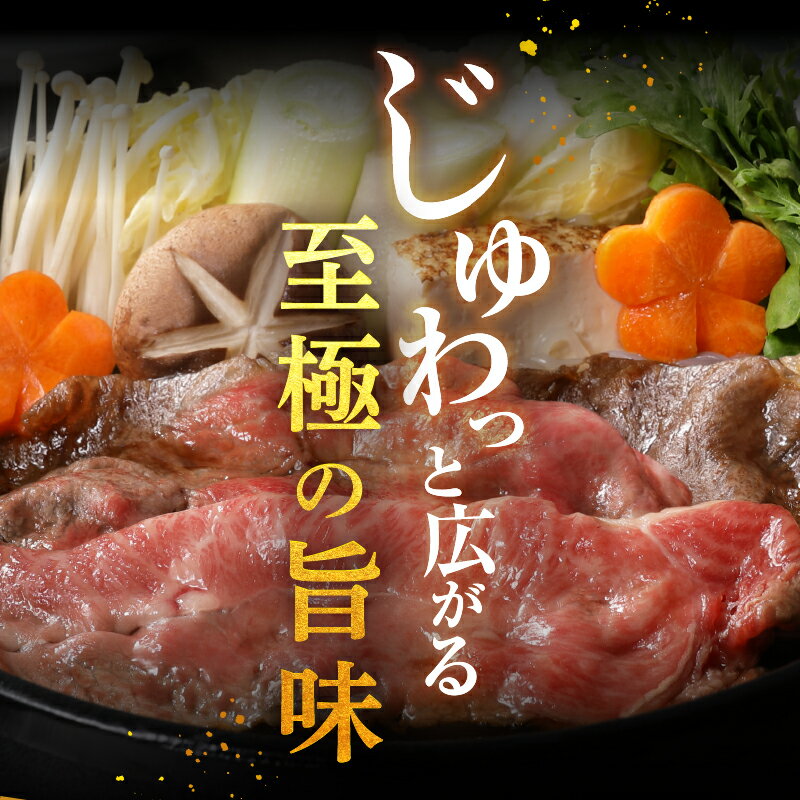 【ふるさと納税】松阪牛 数量限定 肉 牛肉 国産 みすじ ウデ みすじ・ウデすきやき 500g ブランド牛 高級 和牛 日本三大和牛 霜降り 舌触り 厳選 冷凍 ミライエ 小林牧場 誕生日 お祝い 記念日 贈り物 ギフト プレゼント 家庭用 三重県 玉城町産 3