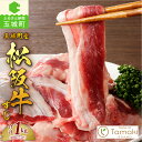 【ふるさと納税】松阪牛 肉 牛肉 国産 牛すじ 贅沢 ブランド牛 高級 和牛 日本三大和牛 1kg 200g×5P 真空パック 冷凍 ミライエ 小林牧..