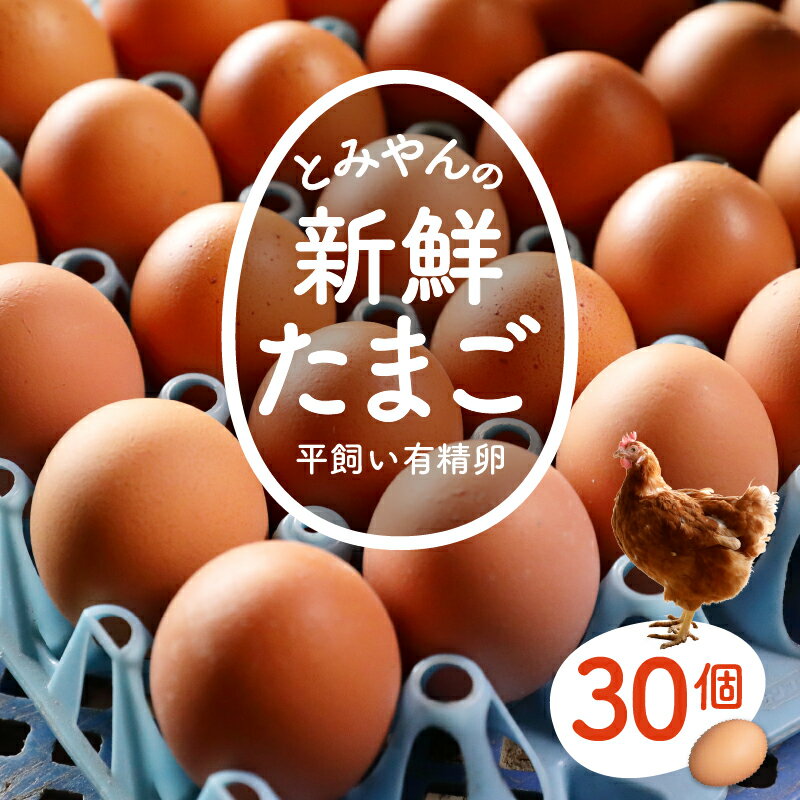 【ふるさと納税】卵 たまご 旨味 赤玉 平飼い 有精卵 30個 新鮮 コク とみやん こだわり卵 TKG 朝食 夕食 夜食 玉城町 三重県 送料無料