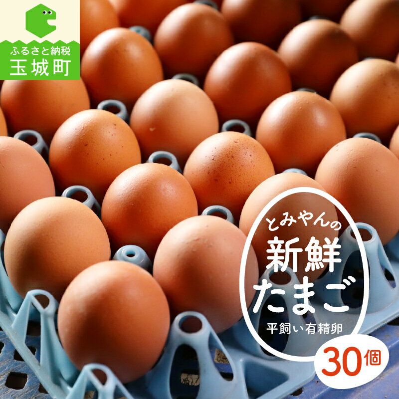 【ふるさと納税】卵 たまご 旨味 赤玉 平飼い 有精卵 30個 新鮮 コク とみやん こだわり卵 TKG 朝食 夕食 夜食 玉城町 三重県 送料無料