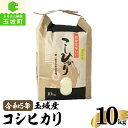 【ふるさと納税】令和5年産 コシヒカリ 米 白米 精米 10kg 玉城町産 2023年産 ご飯 お弁当 おにぎり ギフト 贈答 備蓄米 非常用 三重県