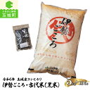 1位! 口コミ数「0件」評価「0」令和5年産 コシヒカリ 伊勢ごころ 5kg 黒米 100g×1袋 米 白米 精米 2023年産 ご飯 お弁当 おにぎり ギフト 贈答 備蓄米･･･ 