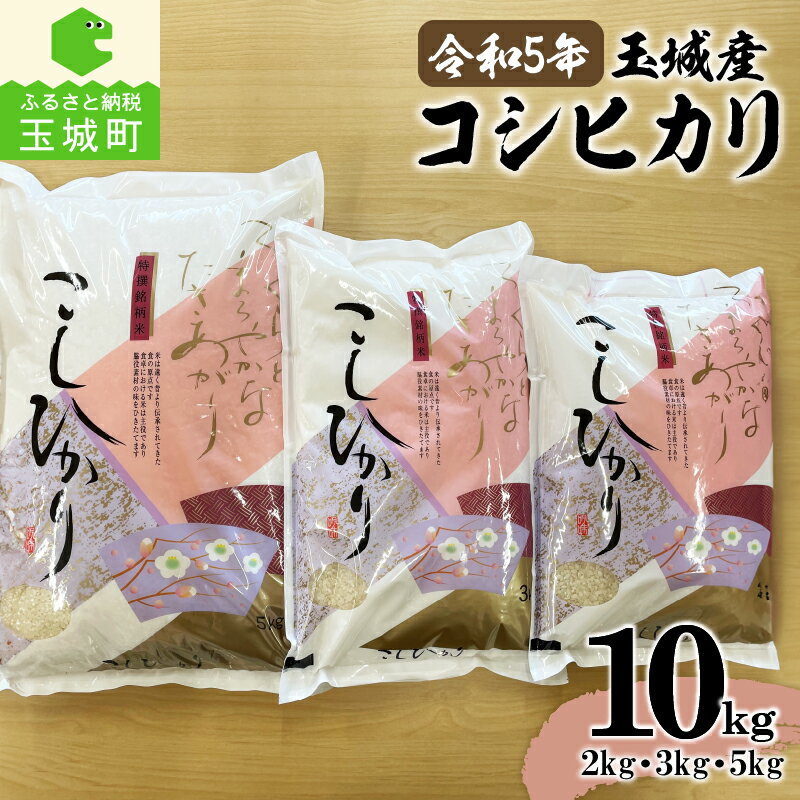 令和5年産 コシヒカリ 米 白米 精米 計10kg 2kg 3kg 5kg 玉城町産 2023年産 ご飯 お弁当 おにぎり ギフト 贈答 備蓄米 非常用 三重県