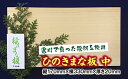 【ふるさと納税】ひのき まな板 中／世古林業 桧 檜 防虫 殺菌 木製 カッティングボード 三重県 度会町 伊勢志摩