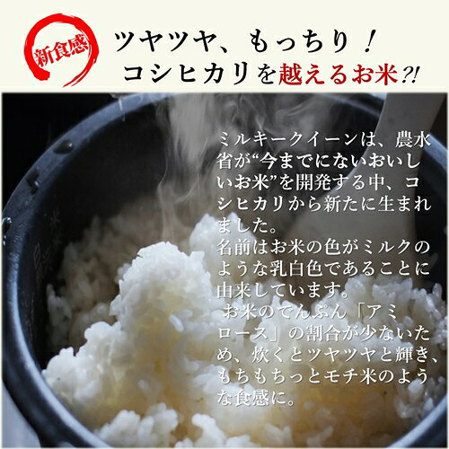 【ふるさと納税】令和8年産 新米 ミルキークイーン 精米 5kg ／ おんじ屋 お米 白米 三重県 度会町 伊勢志摩 f244708-watarai-10000152 三重県度会町 サンプル画像3