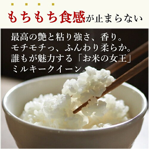【ふるさと納税】令和8年産 新米 ミルキークイーン 精米 10kg ／ おんじ屋 お米 白米 三重県 度会町 伊勢志摩 f244708-watarai-10000153 三重県度会町 サンプル画像2