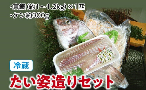 (冷蔵)たい姿造りセット/伊勢志摩 熊野灘 鈴木水産 真鯛 タイ お刺身 塩焼き 鯛めし 煮付け 豪華姿造り 度会町