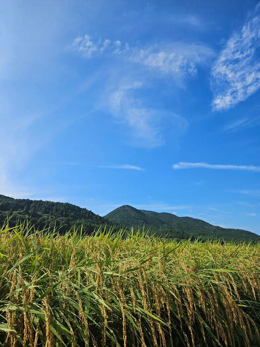 三重県度会町の画像2