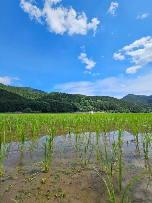 三重県度会町の画像3