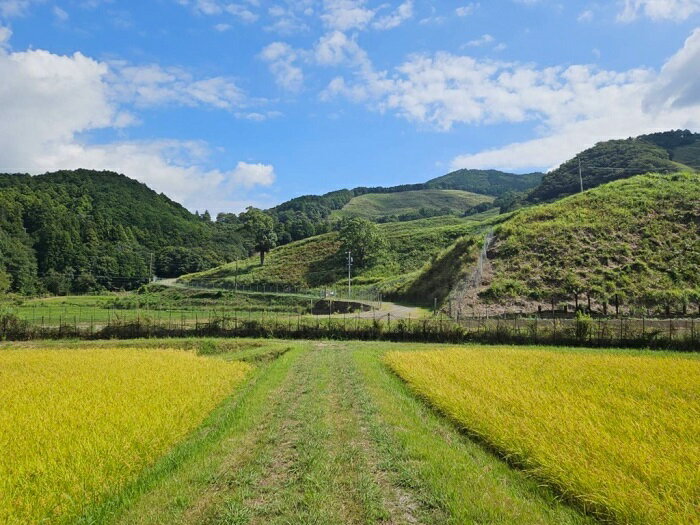 三重県度会町の画像2