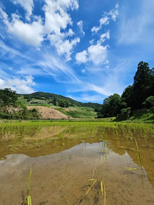 三重県度会町の画像3