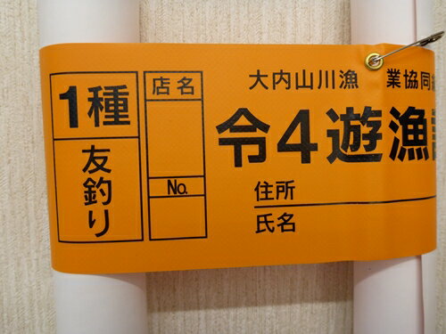 【ふるさと納税】鮎　遊漁券　年券　1種／大内山川漁業協同組合　釣り　友釣り　川釣り　アウトドア　大紀ブランド　三重県　大紀町