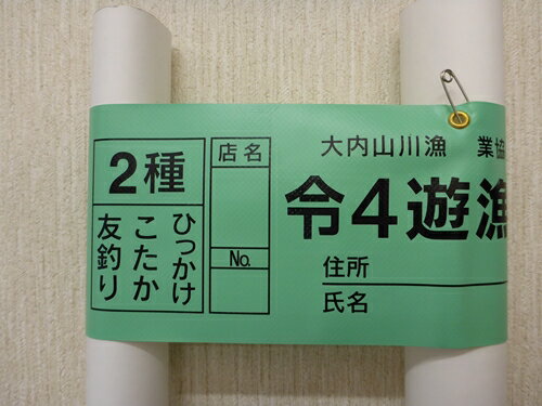 鮎 遊漁券 年券 2種/大内山川漁業協同組合 釣り 友釣り ひっかけ こたか 川釣り アウトドア 大紀ブランド 三重県 大紀町