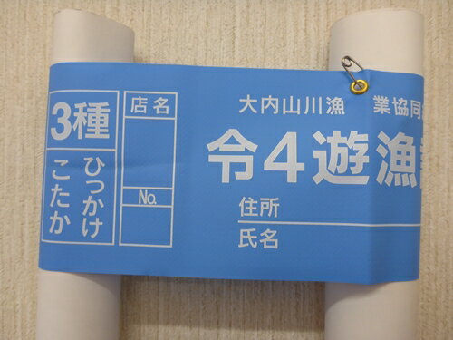 楽天三重県大紀町【ふるさと納税】鮎　遊漁券　年券　3種／大内山川漁業協同組合　釣り　ひっかけ　こたか　川釣り　アウトドア　大紀ブランド　三重県　大紀町