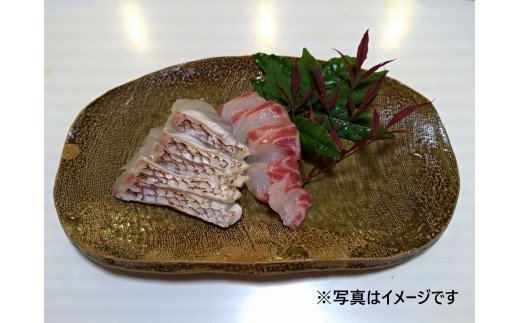 【ふるさと納税】（冷蔵） 錦産 養殖 真鯛 フィレ 半身 2枚入り ／ 魚々錦 ふるさと納税 大紀ブランド 魚 たい 海鮮 海産 お取り寄せ グルメ 三重県 大紀町