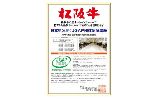 【ふるさと納税】松阪牛　紅白　すき焼き　1kg（ロース　肩ロース　モモ）　B-21／冷凍　瀬古食品　ふるさと納税　牛肉　松阪肉　名産　ブランド　霜ふり本舗　三重県　大紀町