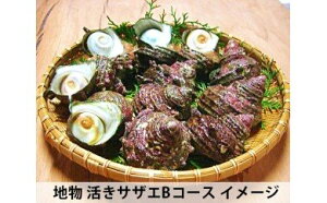 【ふるさと納税】(冷蔵)活きサザエBコース 約2kg(16〜24ヶ入り)山金商店/ 貝 さざえ 海鮮 新鮮 伊勢志摩