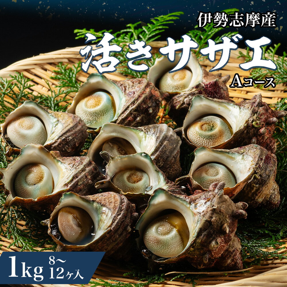 (冷蔵)地物 活きサザエAコース 1kg(8〜12ヶ入り)/貝 壺焼 さざえ 海の幸 新鮮 伊勢志摩