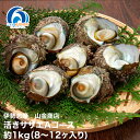 【ふるさと納税】（冷蔵）地物　活きサザエAコース　1kg（8