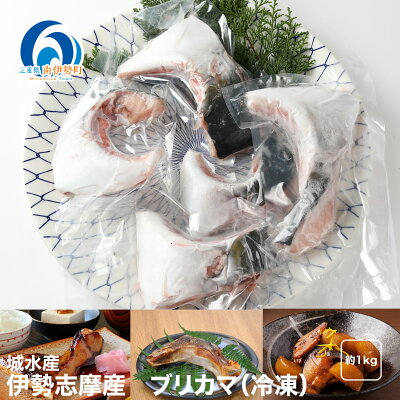 楽天ふるさと納税　【ふるさと納税】（冷凍）伊勢志摩産　ブリ　カマ　1kg以上／城水産　新鮮　鰤　真空　塩焼き　煮付け　三重県　南伊勢町