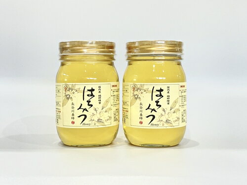 【ふるさと納税】国産 はちみつ アカシア 500g×2本入り セット ／ 長谷川養蜂 希少 ハチミツ 蜂蜜 三重県 南伊勢町 伊勢志摩