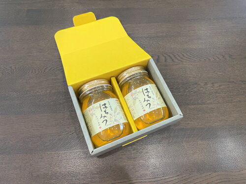 【ふるさと納税】国産 はちみつ アカシア 500g×2本入り セット ／ 長谷川養蜂 希少 ハチミツ 蜂蜜 三重県 南伊勢町 伊勢志摩