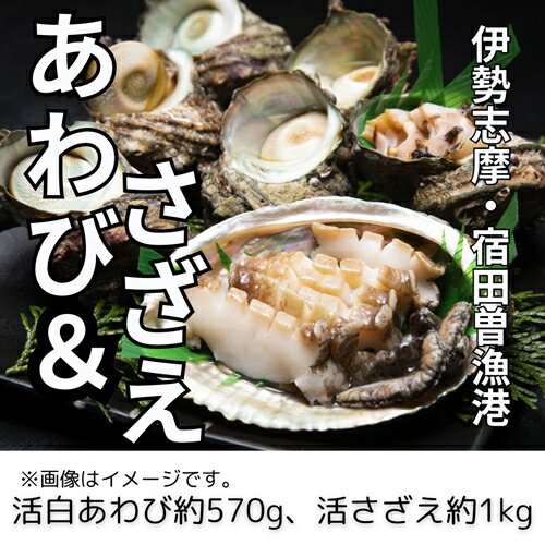 (冷蔵) 活あわび & 活さざえ (A) / 丸池 アワビ 壺焼 さざえ 海鮮 海の幸 新鮮 三重県 南伊勢町 伊勢志摩