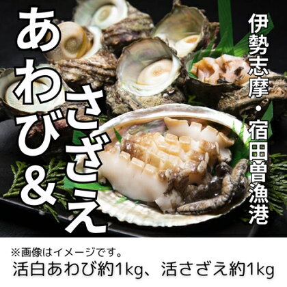 （冷蔵） 活あわび ＆ 活さざえ （B） ／ 丸池 アワビ 壺焼 さざえ 海鮮 海の幸 新鮮 三重県 南伊勢町 伊勢志摩