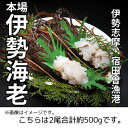 【ふるさと納税】（冷凍） 伊勢志摩産 活〆伊勢海老 2尾 姿造り 生食用 （M） ／ 丸池 伊勢えび イセエビ 特産 三重県 南伊勢町 伊勢志摩