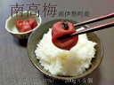 【ふるさと納税】 梅干し 小梅 うす塩 200g 5個 計 1kg 南高梅 ないぜしぜん村 梅干 無添加 樹上 完熟 とろける 塩分 11% うめ 梅 ume 肉厚 手作り うめぼし 伊勢志摩 三重県 南伊勢町