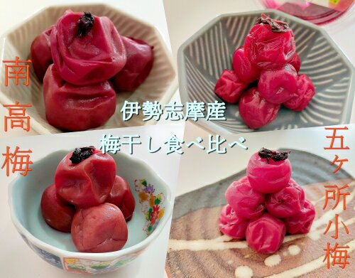 【ふるさと納税】 梅干 色々 味くらべ 南高梅 五ヶ所 小梅 4種 計700g 無添加 大粒 小粒 こつぶ ないぜ しぜん村 ふるさと 納税 梅干し うめ 梅 ume 肉厚 手作り 小分け 三重県 南伊勢町