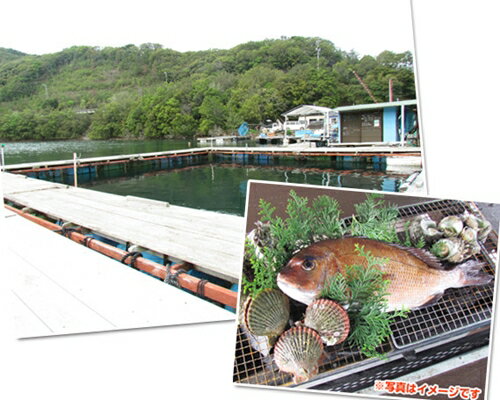 豊かなリアス式海岸に恵まれ、穏やかな海上釣堀にて6人貸し切りで釣り堀が楽しめます。 海上釣堀には、陸地から歩いて行けて、トイレも完備です。 ※本プラン利用時は事前に予約が必要です。 商品説明 名称 釣り堀　6名　すみちゃんの釣り堀　伊勢志摩 内容量 釣り堀　6名×1枚 有効期限 発行より1年間 使用方法 ・寄附金のご決済・ご入金を頂き次第、順次、提供事業者よりチケットをお送りいたします。 ・ご利用予定日が決まっている場合は、必ず予定日の1ヶ月前迄の決済・入金をお願いいたします。 ・寄附のお申し込みでは、サービスのご予約は確定いたしません。希望日の10日前までにチケットに記載しております連絡先へご連絡いただき、ご予約をお願いいたします。 ・お送りするチケットは1枚です。チケット1枚につき、6名様までご利用いただけます。 ・当日は、送付いたしましたチケットを必ずご持参ください。お忘れになられた場合、サービスをご利用いただけない場合がございます。 ・紛失・破損によるチケットの再発行は対応致しかねます。ご了承ください。 提供者 城水産 【発送について】 通常はご寄付頂いてから1～2ヶ月ほどでお届けします。 (11月下旬から寄付が多くなり、入金確認後～最長で6カ月程度かかる場合がございます。) 返礼品は個別発送となっております。 複数お選びいただいた場合は、同じ返礼品でも個別の発送となり、到着日が前後する場合がございます。 ご了承のほどお願いいたします。 受取日の指定は対応出来兼ねます。 12月20日から翌年1月10日までは、発送対応出来兼ねます。 事前に2日以上の不在日がおわかりであれば、寄付直後に当方までお知らせください。 不在配達時は運送業者で保管となります。季節によっては品質に影響を及ぼす恐れがございます。 【受取後のお願い】 すぐにお礼品の状態をご確認ください。 お礼品に不備がございましたら受け取った状態で保管していただき、受取日のうちに当方までご連絡をお願い致します。 【ご注意ください】 運送上中継等で日数の掛かる地域の方は、お礼品の内容をご理解の上、ご寄付をご検討ください。 お届けできず運送業者の保管期限を経過した場合は、運送業者のルール上、やむを得ず当方へ返送されます。 その場合、再発送の対応は出来兼ねます。 不備に関する返品等のご対応は、受取から日にちが経過すると対応出来なくなります。 また、返礼品発送のタイミングと、お引越し等による配送先登録住所が異なる場合もございます。早急に変更のご連絡をお願い致します。 ご連絡が遅くなり、旧住所へ配送され当方へ返送された場合も、再発送の対応は致しかねますので予めご了承ください。 【キャンセル等について】 ふるさと納税は「寄付」となりますので、寄付のお申込み手続きが完了した後にキャンセルすることはできません。 重複でのお申込みやご名義に誤りなどがないようご注意ください。 ※寄付お申込み前に上記をあらかじめご了承ください。 ・この商品はふるさと納税の返礼品です。 スマートフォンでは「買い物かごに入れる」と表記されておりますが、寄付申込みとなりますのでご了承ください。 ・ふるさと納税よくある質問はこちら「ふるさと納税」寄付金は、下記の事業を推進する資金として活用してまいります。 寄付を希望される皆さまの想いでお選びください。 (1) 教育の充実 (2) 子育て支援 (3) 環境・森林保全 (4) 福祉・医療の充実 (5) 道路整備 (6) 観光振興 (7) 農林水産業振興 (8) 商工業の振興 (9) 防災対策 (10) 町におまかせ 特徴のご希望がなければ、町政全般に活用いたします。 ■受領書 ・入金確認後、注文内容確認画面の【注文者情報】に記載の住所に30日以内に発送いたします。 ■ワンストップ特例申請書 ・ご希望の方にはお送りしています。寄附お申込時に「4.ワンストップ特例申請書の送付について」を「希望する」とご回答ください。 ・必要な場合はPDFをこちらからダウンロードしてご利用ください。 ▼ダウンロード 南伊勢町申請書 ■ワンストップ特例申請書の送付先 〒518-0411 三重県名張市滝之原1050番地 南伊勢町ふるさと納税センター 宛 【申請書送付時に必要な書類】 ・ワンストップ特例申請書 (市町村民税・道府県民税 寄附金税額控除に係る申告特例申請書) ・個人番号確認書類 ・本人確認書類 ※記入方法など、詳しくはこちらをご覧ください。↓ https://event.rakuten.co.jp/furusato/guide/onestop.html 入金確認後、注文内容確認画面の【注文者情報】に記載の住所にお送りいたします。 発送の時期は、寄付確認後1ヶ月以内を目途に、お礼の特産品とは別にお送りいたします。