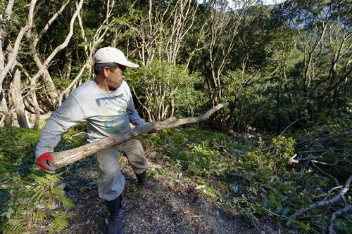 【ふるさと納税】伊勢志摩 備長炭 極細長 約1kg/マルモ 製炭所 BBQ 料理 炭火 七輪 囲炉裏 火鉢 キャンプ通販格安セール情報 楽天 通販