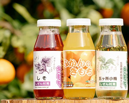 工場直送 ふるさと納税 ないぜしぜん村 手作りジュース 4種類 10本セット 飲み物 セミノール みかん 梅 しそ 伊勢志摩 国内最安値 Hotelelcandil Com 工場直送 ふるさと納税 ないぜしぜん村 手作りジュース 4種類 10本セット 飲み物 セミノール みかん 梅 しそ 伊勢志摩 国内最安値 Hotelelcandil Com