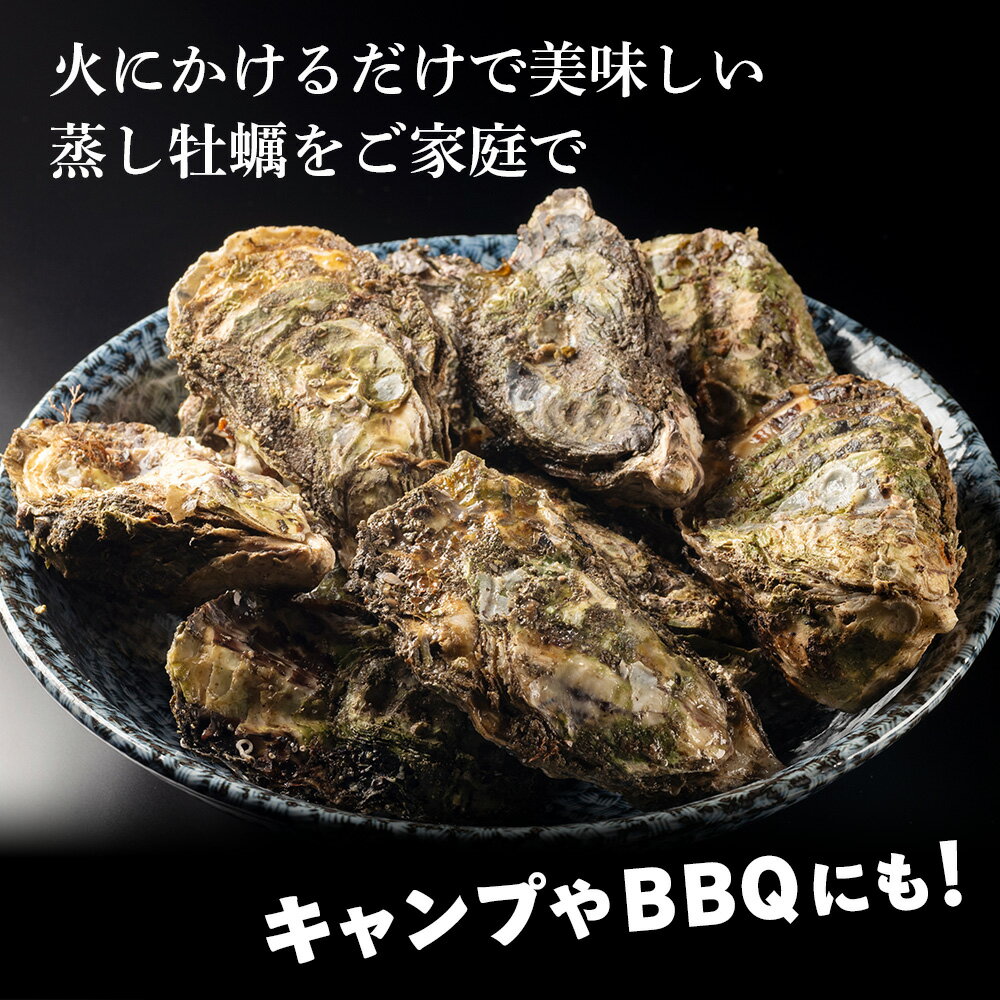 【ふるさと納税】【冷凍】南伊勢牡蠣　カンカン焼きセット　20個／貝　かき　カキ　特産　旬　お取り寄せグルメ　伊勢志摩