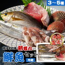 【ふるさと納税】（冷蔵）漁協直送！　南伊勢町産　3～5種　朝獲れ鮮魚セット／三重外湾漁業組合　お刺身　新鮮　詰合せ　おいしい　と..