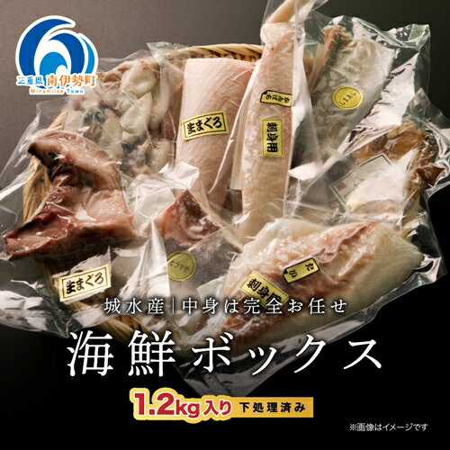 (冷凍) 南伊勢 海鮮 お宝 ボックス / 城水産 新鮮 海の幸 三重県 南伊勢町 伊勢志摩