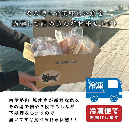 【ふるさと納税】（冷凍） 南伊勢 海鮮 お宝 ボックス ／ 城水産 新鮮 海の幸 三重県 南伊勢町 伊勢志摩