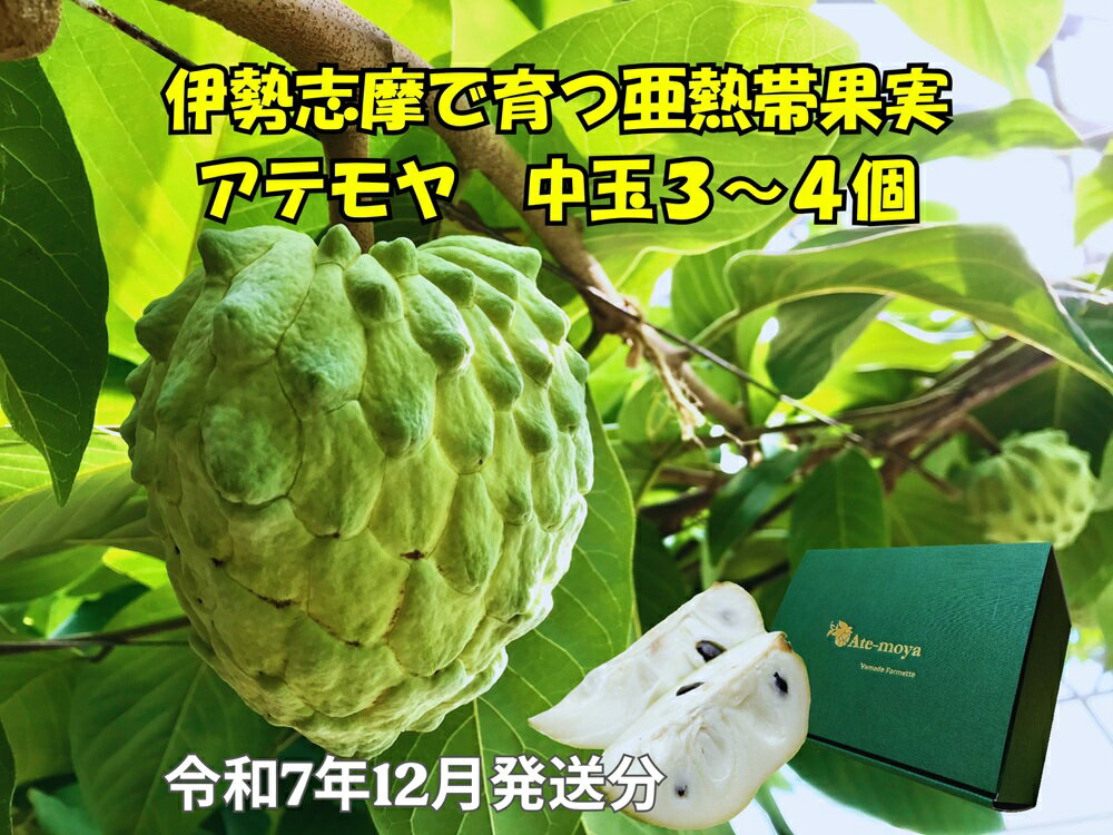 楽天市場】アテモヤ(フルーツ・果物|食品)の通販 楽天市場】アテモヤ(フルーツ・果物|食品)の通販
