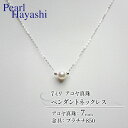【ふるさと納税】 真珠 ペンダント 7mm pt850 プラチナ アコヤ真珠 アクセサリー ネックレス ファッション ジュエリー akoya パール フォーマル カジュアル プレゼント ギフト 贈り物 贈答品 お祝い 誕生日 記念日 冠婚葬祭 結婚式 三重県 伊勢 志摩 南伊勢町 パールハヤシ