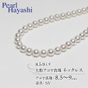 【ふるさと納税】 真珠 ネックレス 8.5-9.0mm 大粒 アコヤ真珠 アクセサリー ファッション ジュエリー akoya パール 高級 プレゼント 贈り物 贈答品 お祝い 誕生日 記念日 冠婚葬祭 慶事 弔事 結婚式 卒業式 入学式 国産 三重県 伊勢 志摩 南伊勢町 パールハヤシ