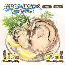 【ふるさと納税】 牡蠣 岩牡蠣 伊勢かき 食べ比べセット 岩牡蠣 XXLサイズ 3個 伊勢かき XLサイズ 12個 加熱用 濃厚 新鮮 養殖 殻付き 殻付 冷蔵...