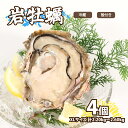 【ふるさと納税】 牡蠣 岩牡蠣 XLサイズ 4個 加熱用 濃厚 新鮮 養殖 殻付き 殻付 冷蔵 旬 季節限定 カキ kaki 鍋 牡蠣鍋 カキフライ 牡蠣フライ...