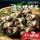 【ふるさと納税】 サザエ 1kg〜2kg (8ヶ〜24ヶ) 冷蔵 新鮮 海鮮 海産物 魚介 魚貝 活きサザエ 栄螺 貝 刺身 刺し身 お造り つぼ焼き 壺焼き ...